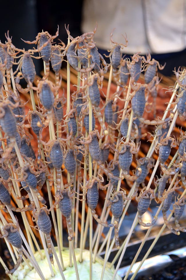 Proteínas alternativas en alimentación