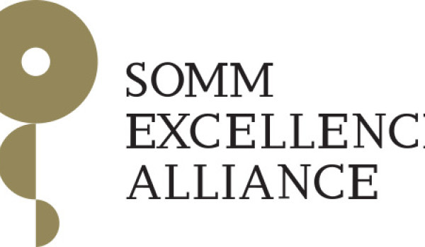 Logo Alianza SOMMa