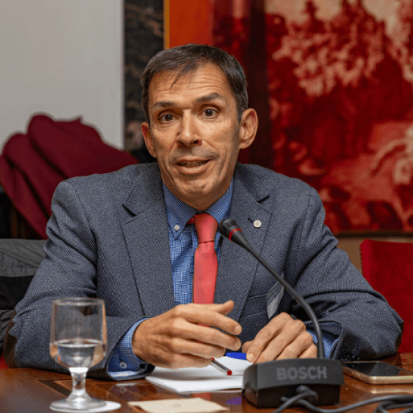 David Pulido Velázquez