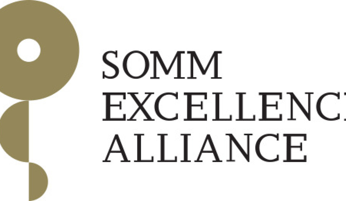 Logo Alianza SOMMa Logo Alianza SOMMa