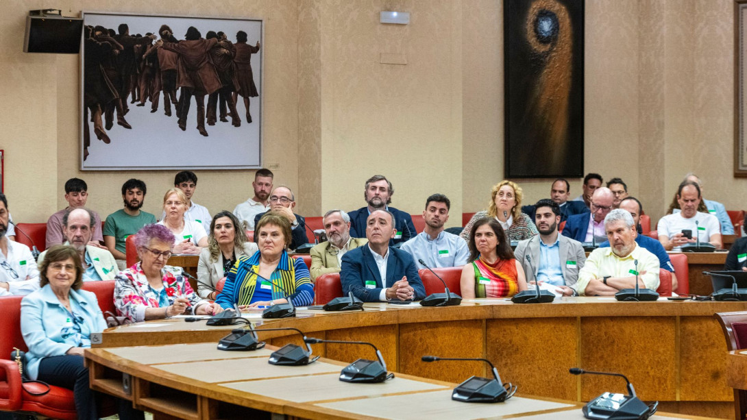 Asistentes durante el seguimiento de la sesión en el Congreso de los Diputados